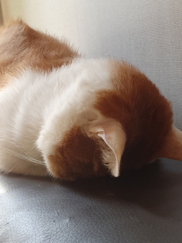 이미지 로딩중